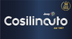 Logo Cosilinauto Srl